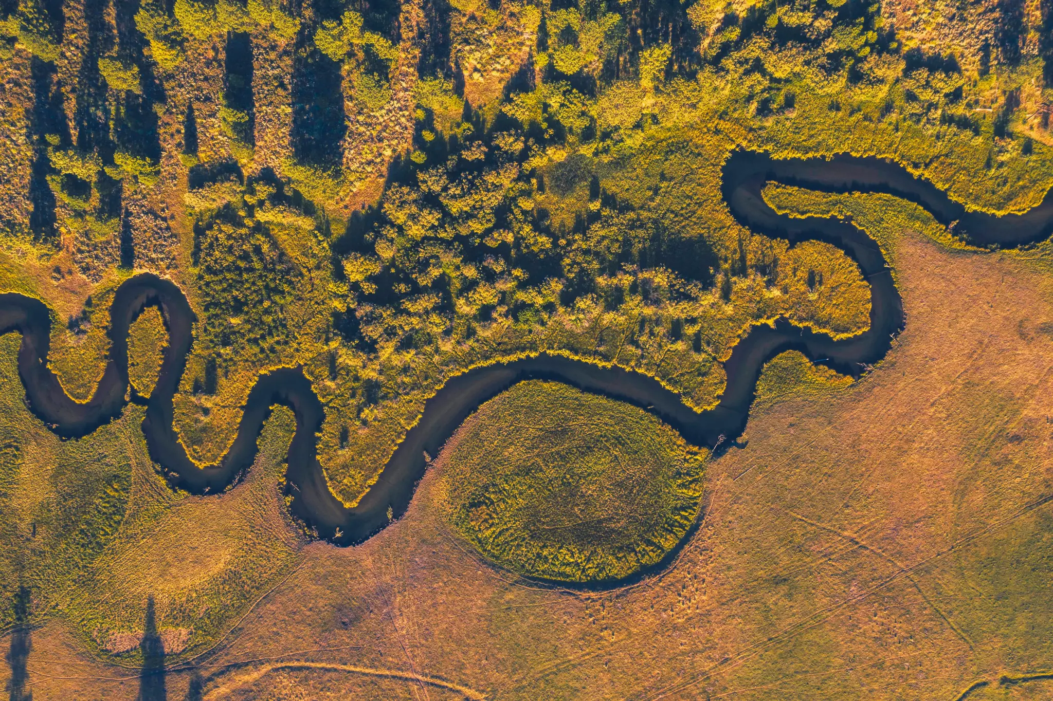 Peopletree analytics platform